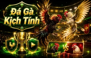 Giao diện sảnh Đá Gà rinafrizchezmoi